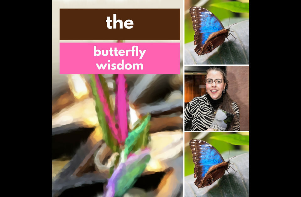 Butterflies of Wisdom